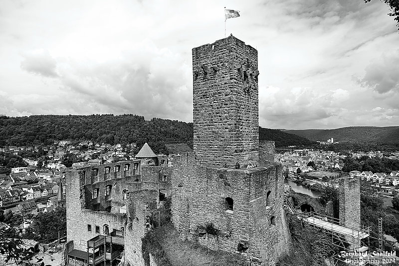 Bernhard Saalfeld - Burg Wertheim (1v9)